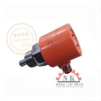 塑料外殼2燈小型電子式流量開關(guān)NK55